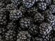 How To Buy Blackberry 